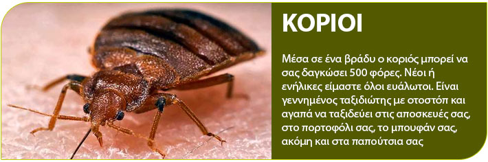 κοριοι με οικολογικές μεθόδους