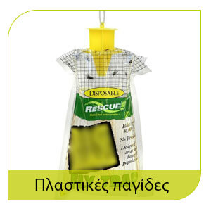 αντιμετώπιση μύγας με πλαστικές παγίδες 
